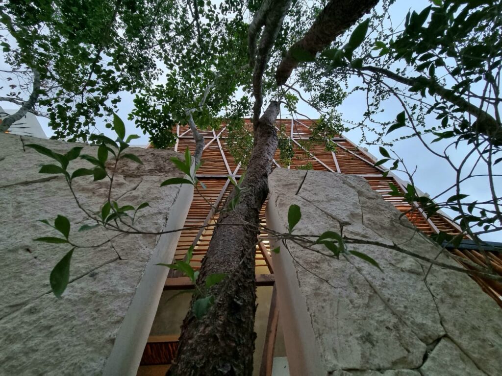 AREIA FASE 1 Swimup image 1